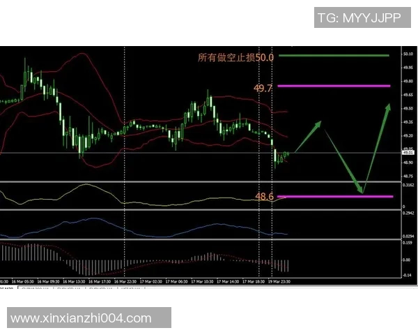 季前赛广东对阵浙江精彩视频直播全程回顾与分析